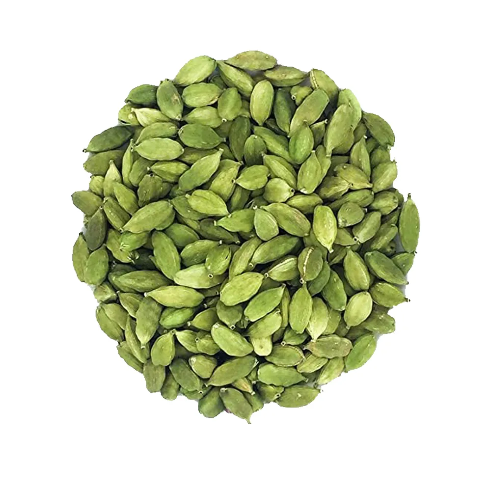 Green Cardamom (Elettaria cardamomum), widely recognized as the "Queen of Spices"