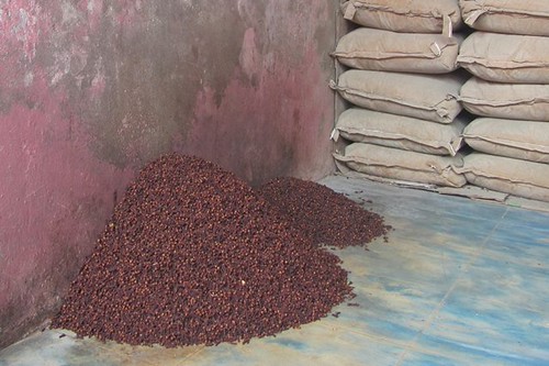 Cloves
