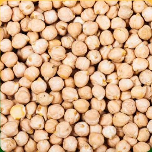 Chickpeas/Garbanzo Beans / Kabuli Chana.