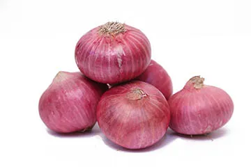 ONION