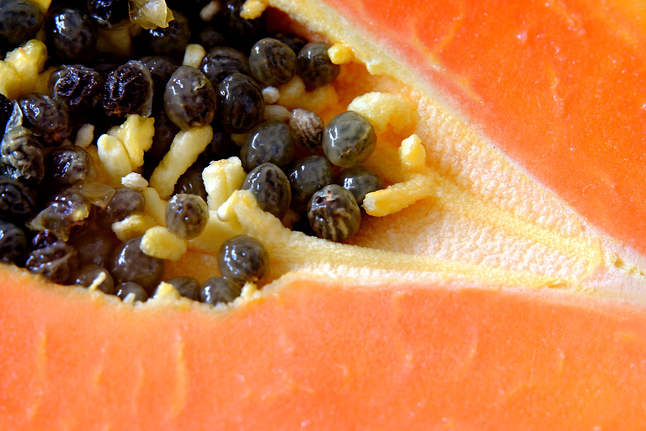 Papaya