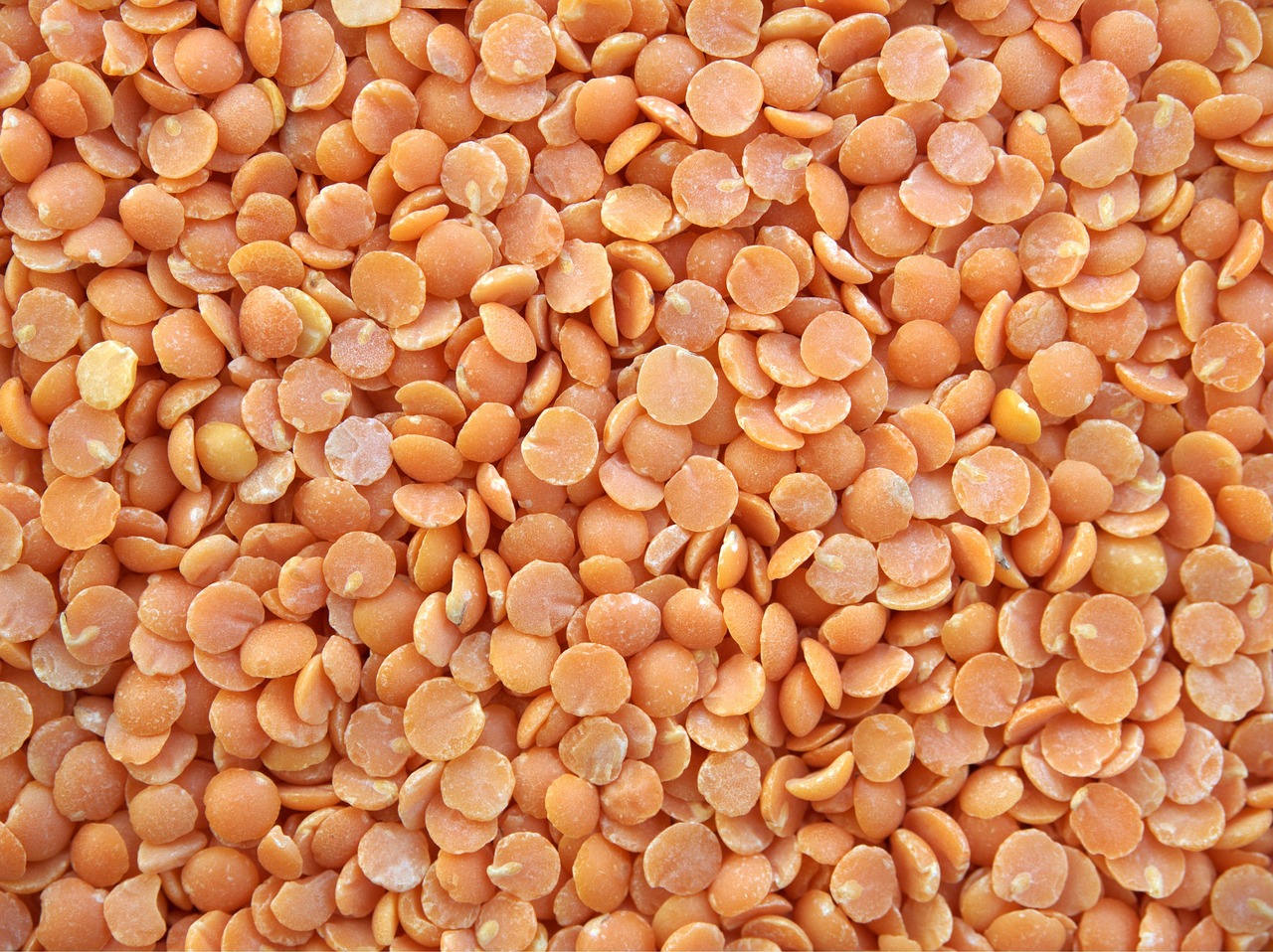 Red Lentil Football