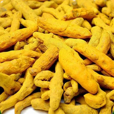 Whole dried turmeric rhizomes, commonly referred to as turmeric fingers or sabut haldi